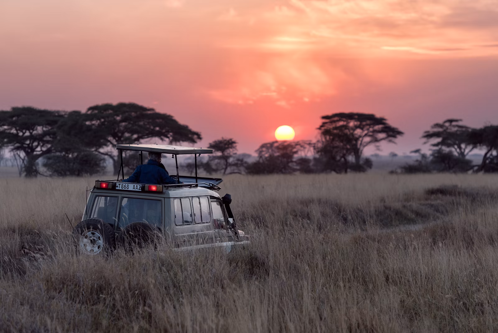Roca River Camp — Main Lodge & Bush Landscape